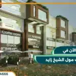 ستريب مول الشيخ زايد strip mall zayed استثمر الأن بمقدم 10%