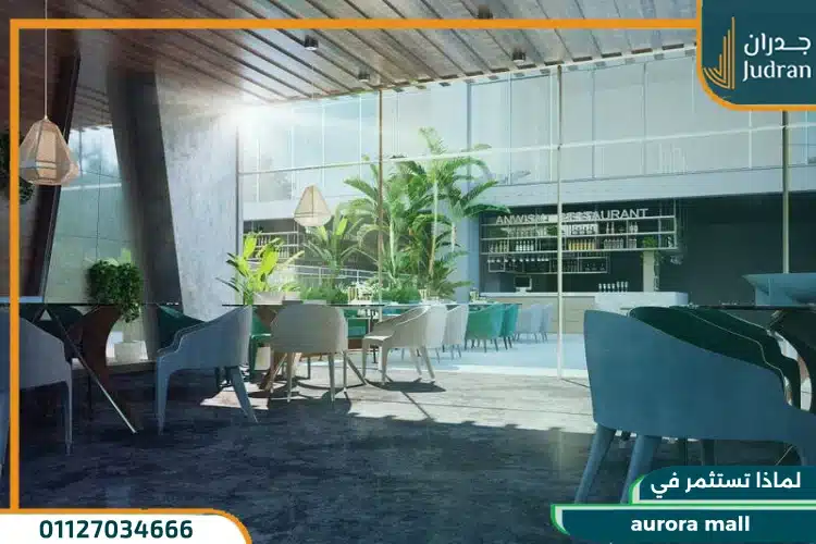 الاستثمار في aurora mall