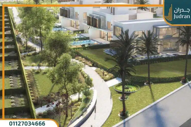 فاها الشيخ زايد الجديدة