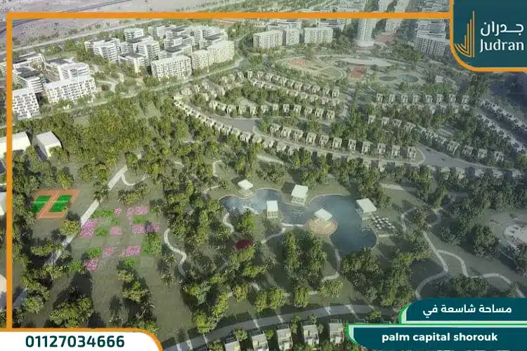مساحة palm capital shorouk