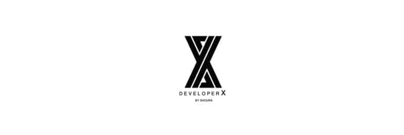 شركة Developer X