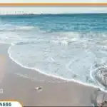 قرية سيزر الساحل الشمالي Caesar Village 2025