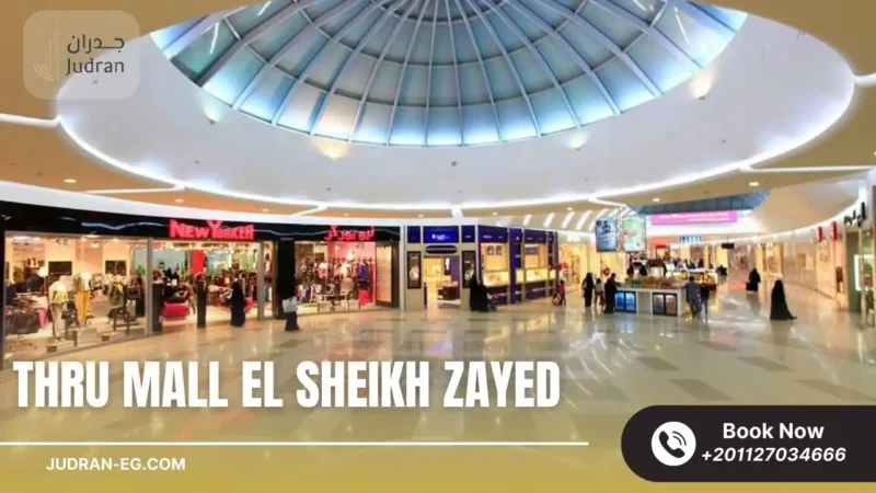 موقع مول ثرو الشيخ زايد