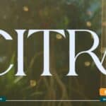 كمبوند سيترا ريزيدنس زايد الجديدة Citra Residence New Zayed